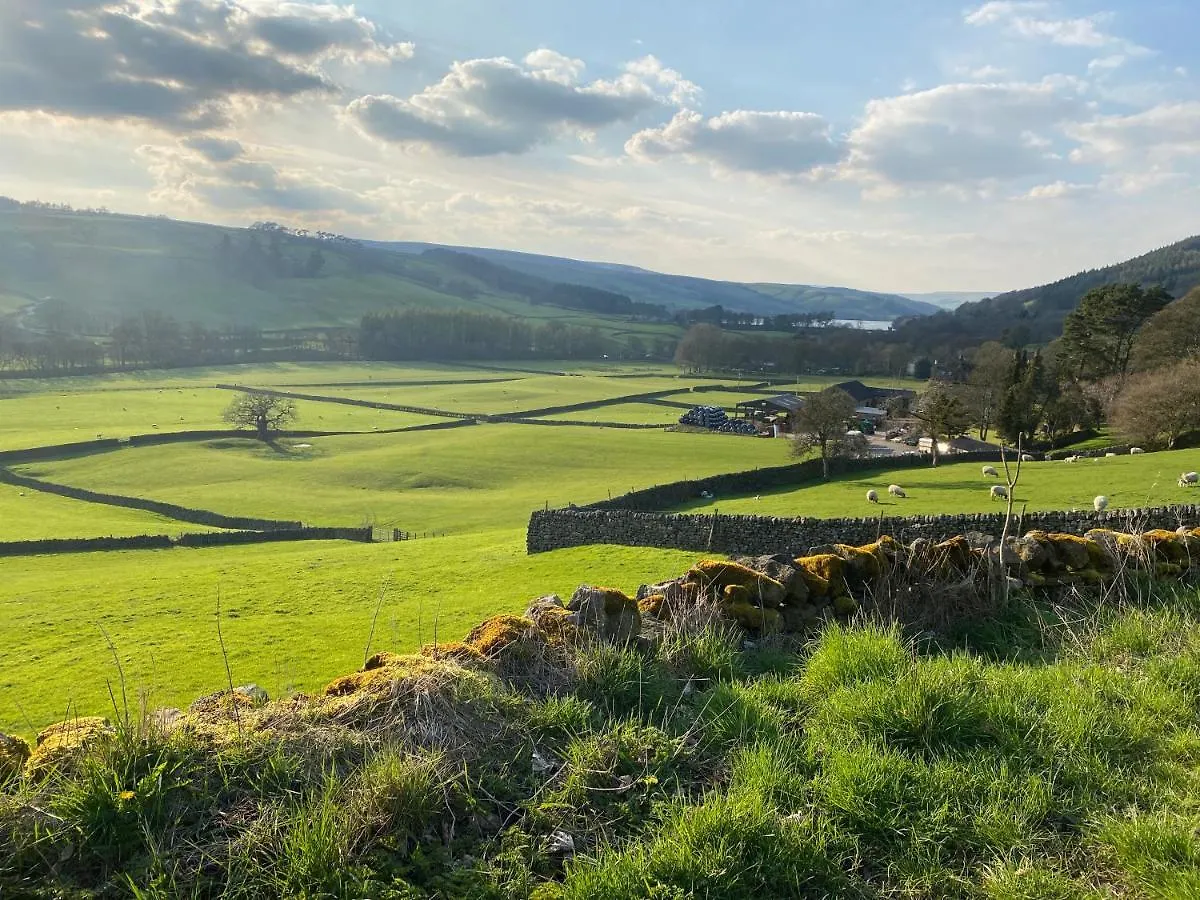 Apartment Sandholme Cottage - Pateley Bridge United Kingdom